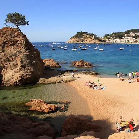 Apartment Tossa Center Attic & Terrace *