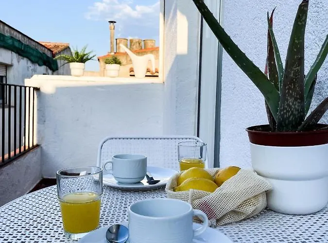 Tossa Center Attic & Terrace * Tossa de Mar